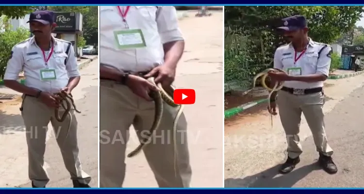 తెలంగాణ అసెంబ్లీలో పాము కలకలం