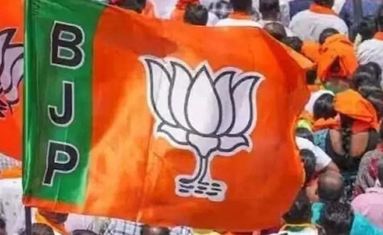 బీజేపీ టికెట్ అడిగా: ఆర్జీ కర్‌ బాధితురాలి తల్లి