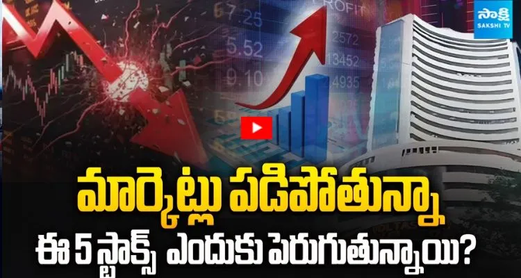 మార్కెట్లు పడిపోతున్నా ఈ 5 స్టాక్స్ ఎందుకు పెరుగుతున్నాయి..?