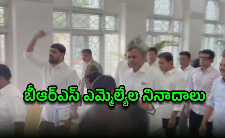 బడ్జెట్‌ అంతా మోసం.. చెవిలో పువ్వులు పెట్టుకుని..