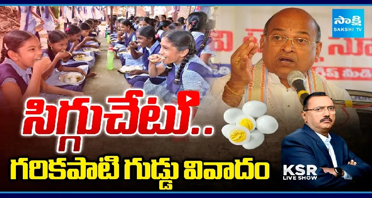 సిగ్గుచేటు.. గరికపాటి గుడ్డు వివాదం
