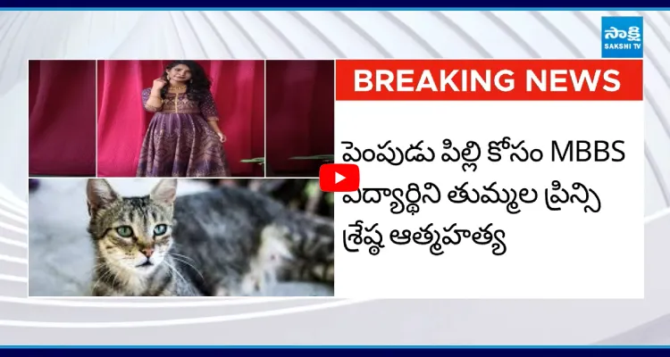 పెంపుడు పిల్లి కోసం MBBS విద్యార్థిని ఆత్మహత్య 