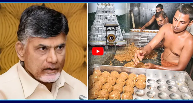 చంద్రబాబు టీటీడీ ల్యాబ్ క్రెడిట్ చోరీ