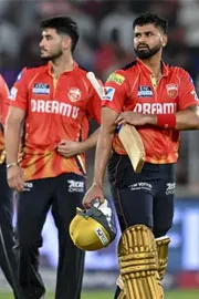 Punjab Kings Will Become Champion For IPL 2026