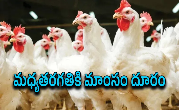 Chicken Meat Price Sudden Increased!!