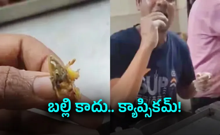 Bhopal University canteen staff eats 'lizard' found in food to prove it is capsicum2