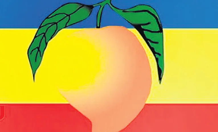 ‘మామిడి’ వివాదం 