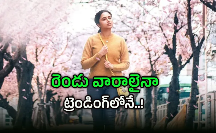 దురంధర్, బోర్డర్‌-2 కాదు.. ఆ చిన్న సినిమానే నంబర్‌వన్..!