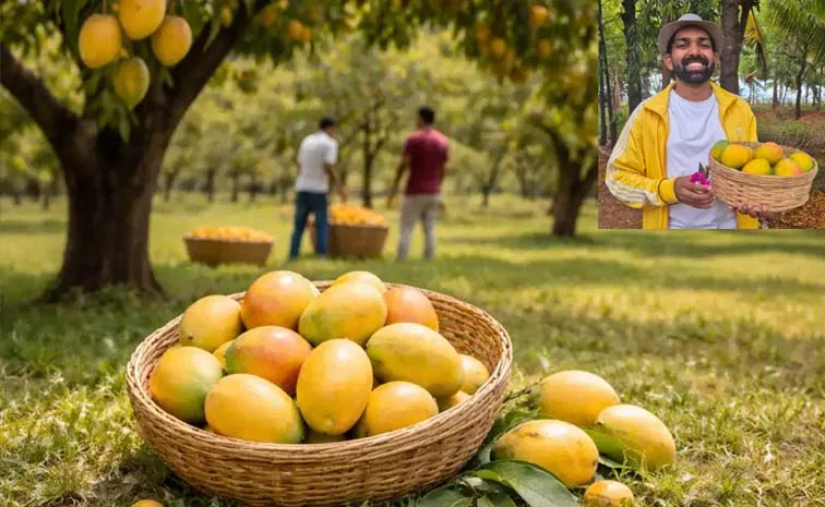 రెంట్‌ ఏ ట్రీ..!