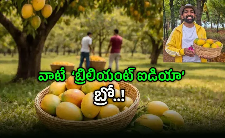 రెంట్‌ ఏ ట్రీ..!