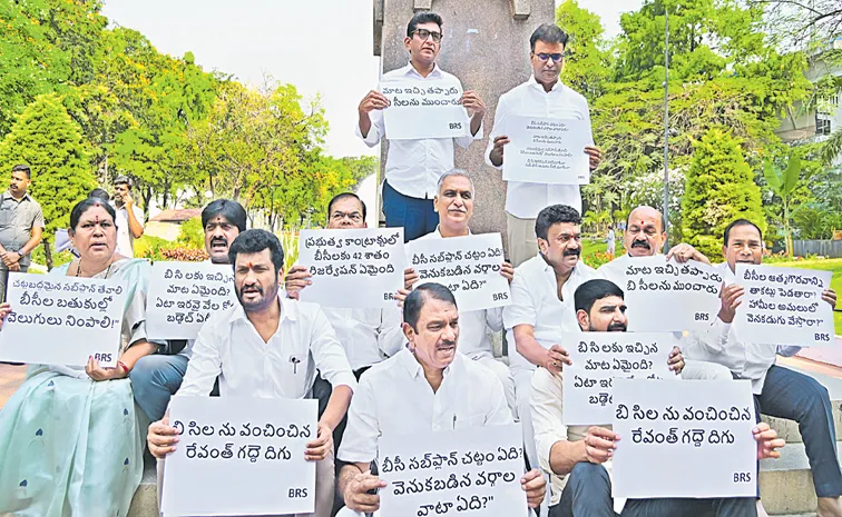 బీసీ సబ్‌ ప్లాన్‌ అమలు చేయాలి