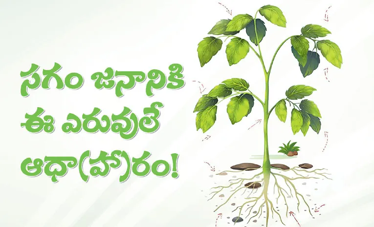 ఆధునిక వ్యవసాయానికి ఆయువుప‌ట్టు!