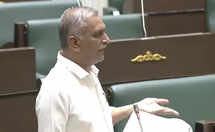 ‘అక్రమ మైనింగ్‌ జరుగుతుంటే ప్రభుత్వం ఏం చేస్తుంది?’