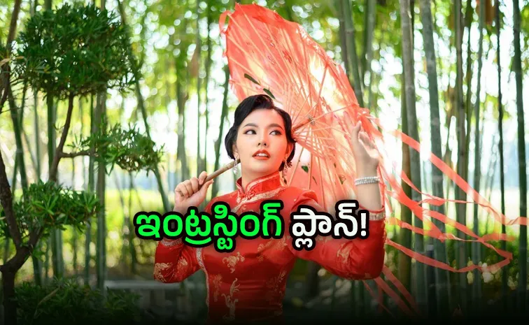 గ్రేట్‌ ప్లాన్‌ : తక్కువ అద్దె,  బోలెడన్ని లాభాలు