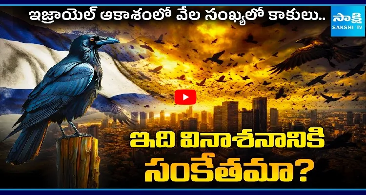 ఇజ్రాయెల్ ఆకాశంలో వేల సంఖ్యలో కాకులు.. ఇది వినాశనానికి సంకేతమా?