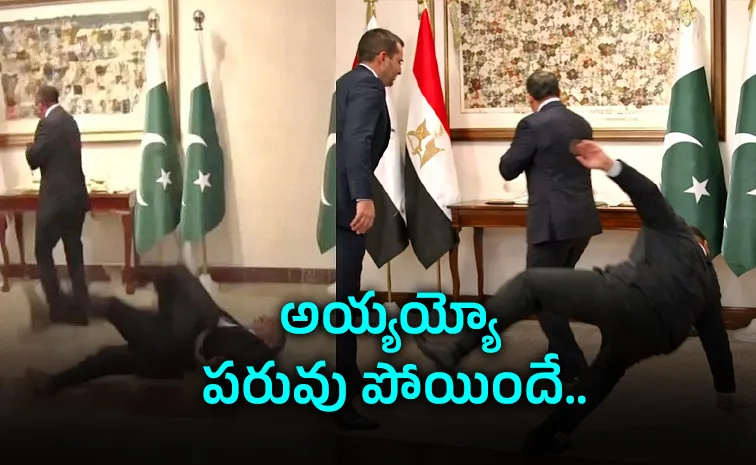 పాక్‌ ఉప ప్రధానికి చేదు అనుభవం.. వీడియో వైరల్‌