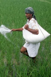 Fertilizer Rush Hits Record High in March as Farmers Stock Up Early Shortage Fears