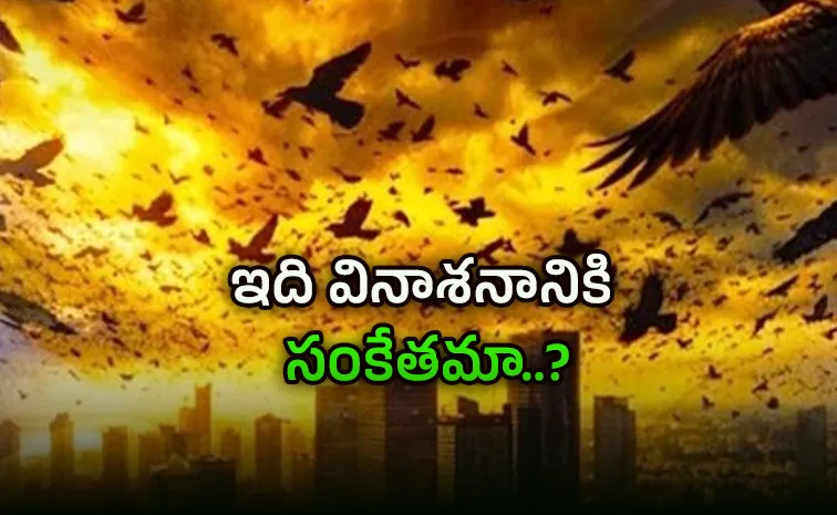 ఆకాశాన్ని కమ్మేసిన కాకుల వనం..!