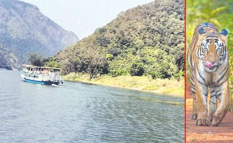 అ'భయారణ్యం'