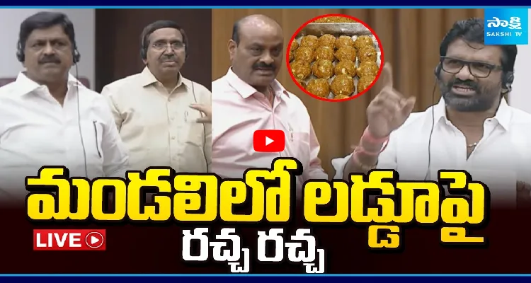 Watch Live: లడ్డూపై మండలిలో చర్చ ప్రారంభం