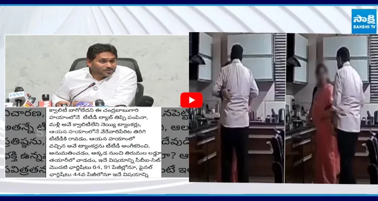 BR నాయుడు రాసలీలలు.. వైఎస్ జగన్ రియాక్షన్