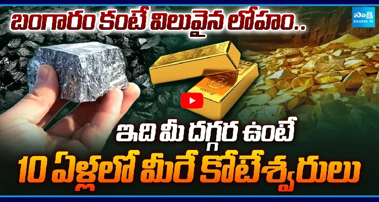 ఇది మీ దగ్గర ఉంటే.. 10 ఏళ్లలో మీరే కోటేశ్వరులు