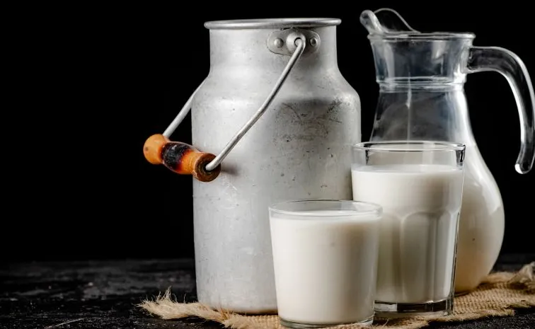 రాజమండ్రి కల్తీ పాల ఘటన.. మరో మహిళ మృతి