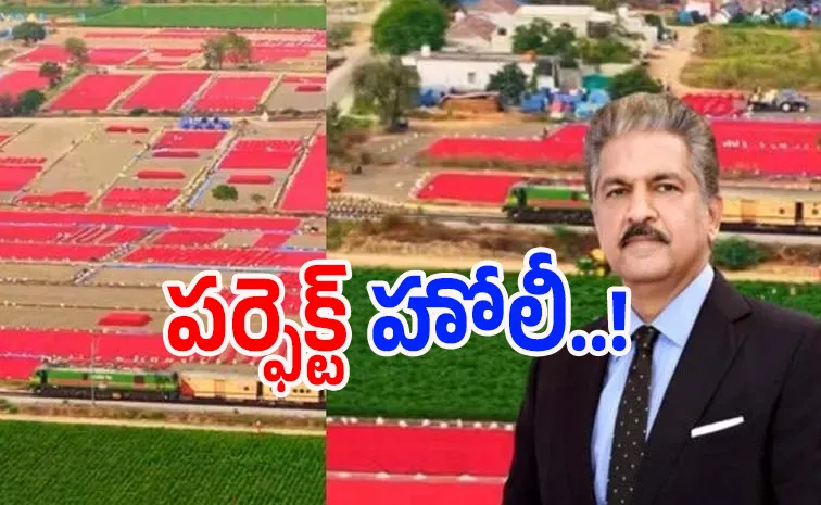 Anand Mahindra shares stunning aerial view of Guntur chilli fields