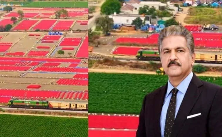 'మిర్చి హోలీ'..రంగు పులుముకున్న పుడమి తల్లి..!