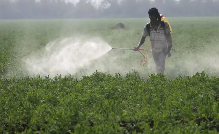 Paraquat Poisoning: Symptoms And Treatment