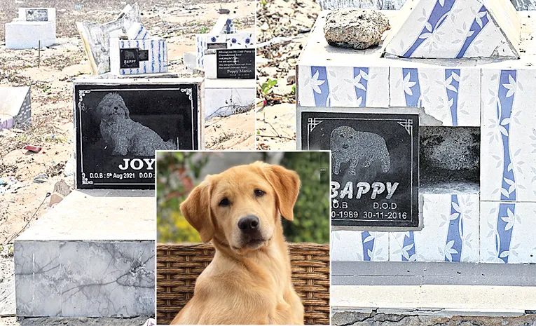 visakhapatnam dog graves on beach pet lovers emotional story