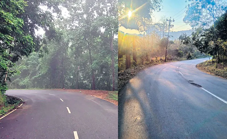 Road accidents causing panic