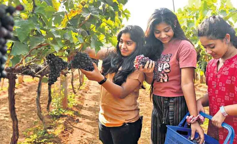 Grape Festival in Rajendranagar for farmers on March 8