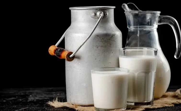 Another Death Reported in Rajamahendravaram Adulterated Milk Incident