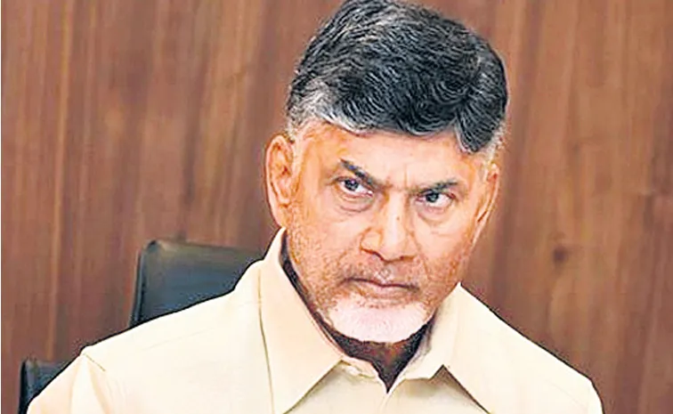 CM Chandrababu Naidu at International Womens Day gathering