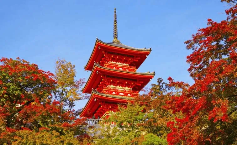Kyoto Tourism: All You Need to Know Before You Go4