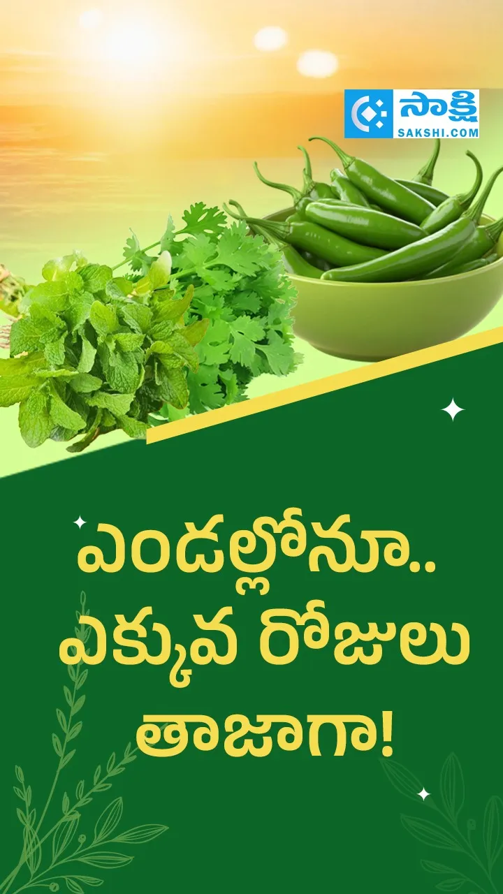  Kitchen Tips: How to keep the green chillies fresh for This Summer