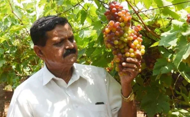  Chintala Venkat Reddy’s story of receiving international patents