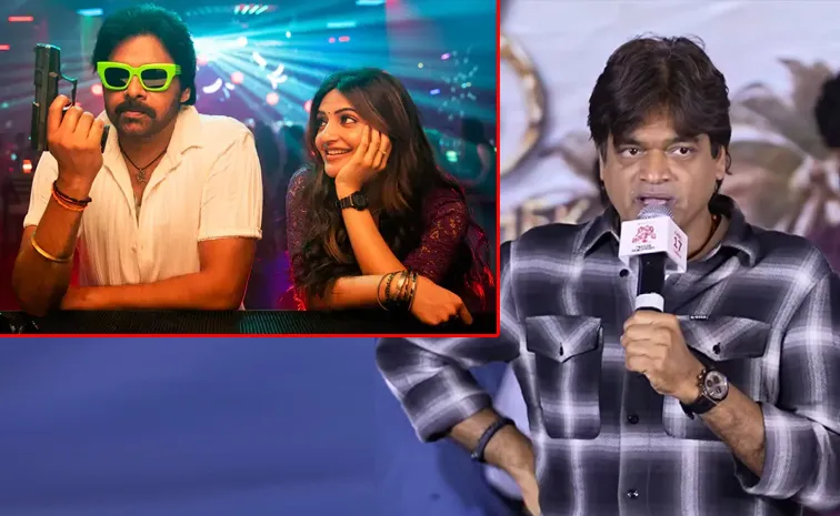 Film Director Harish Shankar Finally Accept Ustaad Bhagat Singh movie Failure