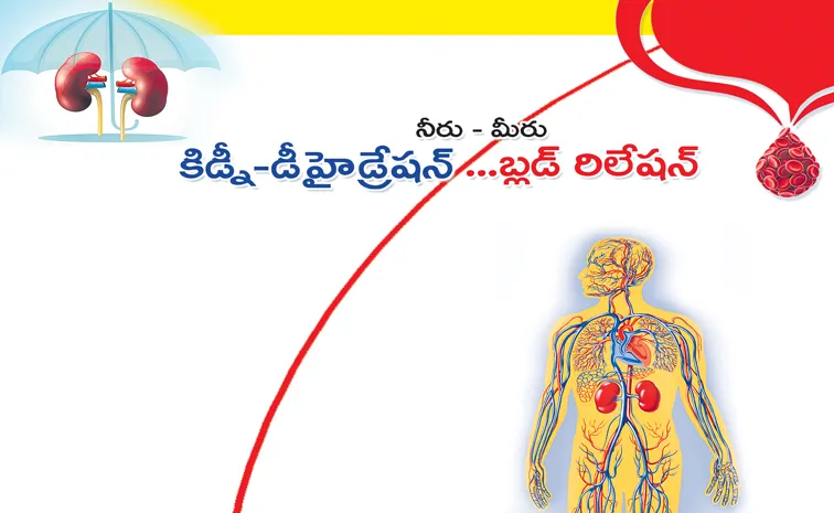 Summer heat can lead to decreased kidney function, dehydration