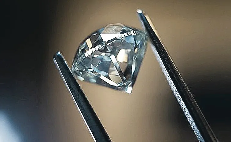 Natural Diamond Jewelry Market Set to Surge to Rs 1.5 Lakh Crore by 20301
