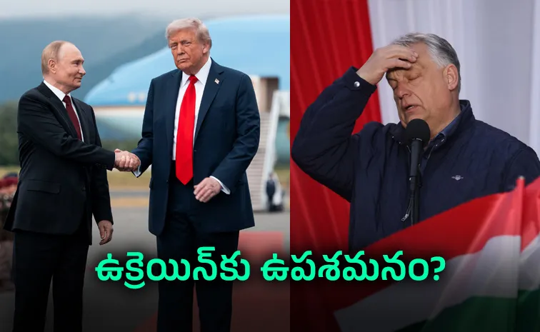 Trump And Putin Ally Hungary Viktor Orban Loses Polls