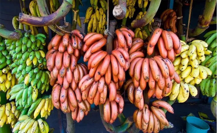 How Did the Banana Become the World's Most Popular Fruit