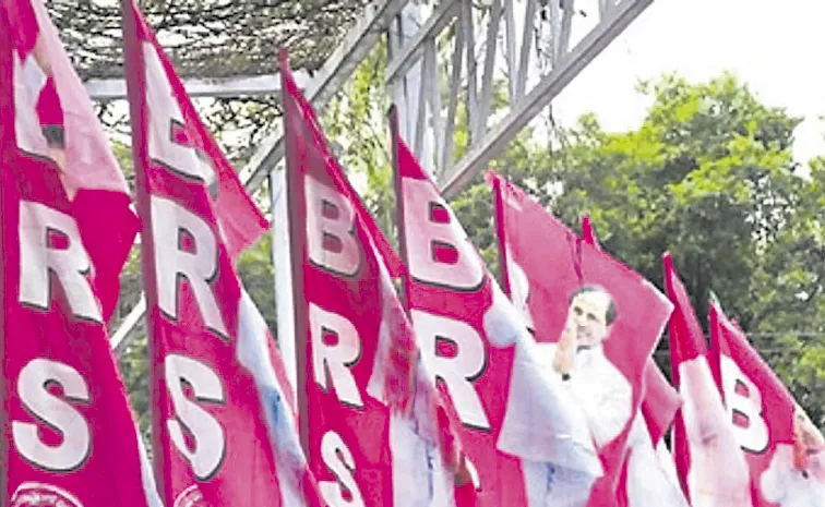 ప్లీనరీ కాదు.. ప్రతినిధుల సభ!