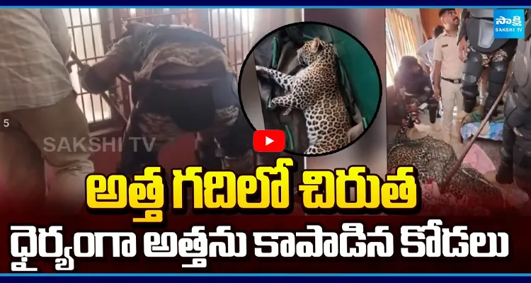 అత్త గదిలో మంచం కింద నక్కిన చిరుత