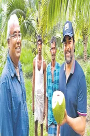 R Madhavan Turned Dry Land In Tamil Nadu Into A Booming Coconut Farm