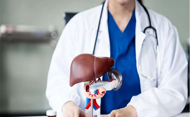 World Liver Day 2026: Early Signs of Fatty Liver Causes And Preventions