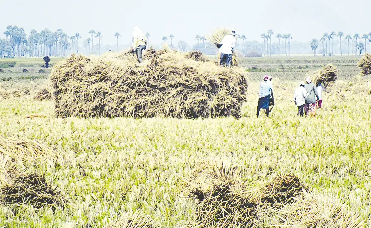 యాసంగి కొనుగోళ్లు అంతంతే