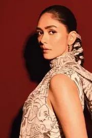 Dhanush to direct a female lead film with Mrunal Thakur amid rumours17