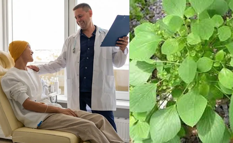 AI Chatbots Push Unsafe Cancer Treatments